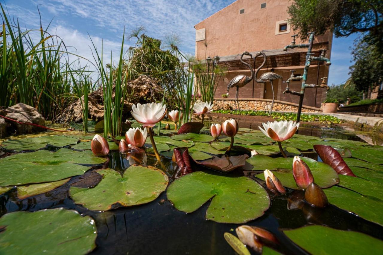 פלניטקס Finca Agroturismo Son Menut מראה חיצוני תמונה