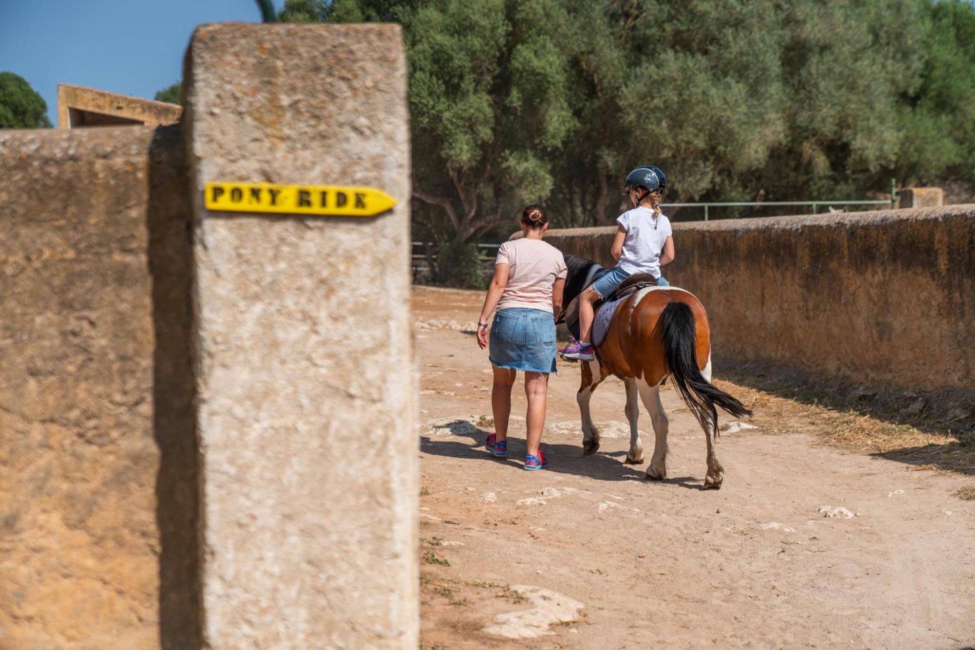 פלניטקס Finca Agroturismo Son Menut מראה חיצוני תמונה