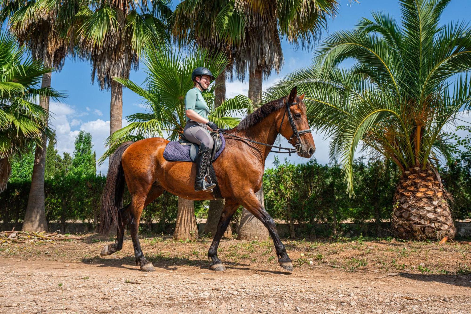 פלניטקס Finca Agroturismo Son Menut מראה חיצוני תמונה