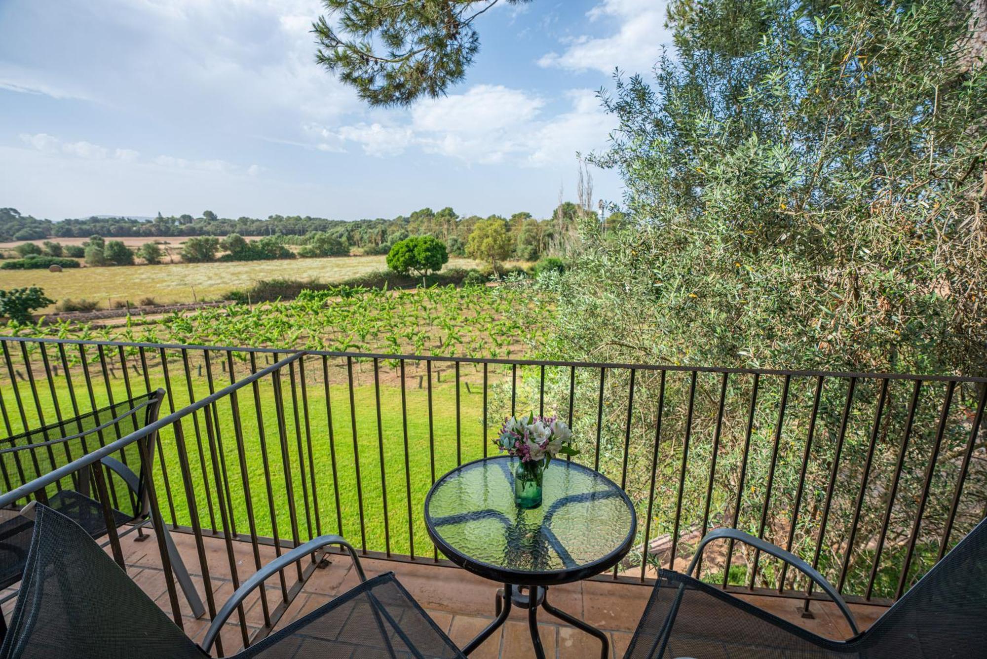 פלניטקס Finca Agroturismo Son Menut מראה חיצוני תמונה