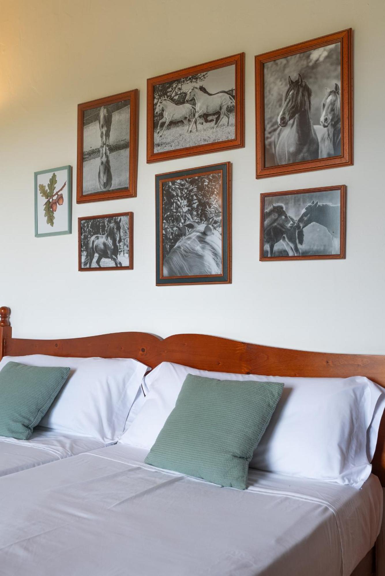 פלניטקס Finca Agroturismo Son Menut מראה חיצוני תמונה